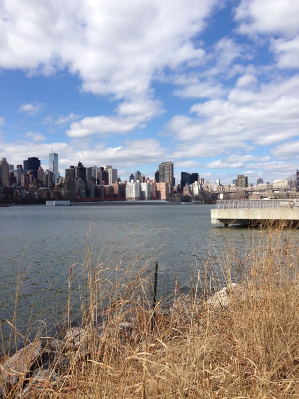 long-island-city-view