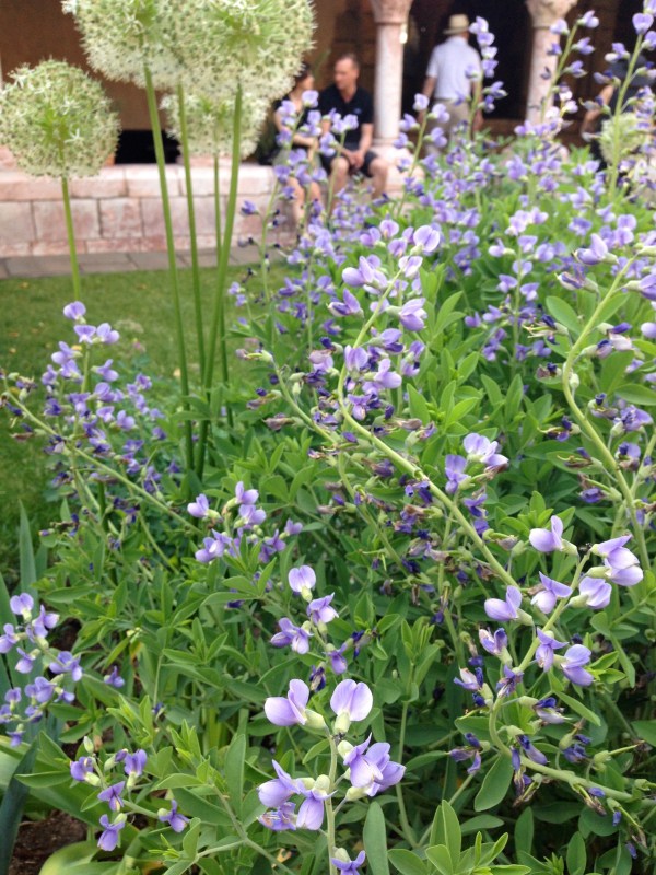 thistle-cloisters-new-york