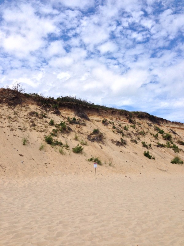 20140821_162312734_iOS